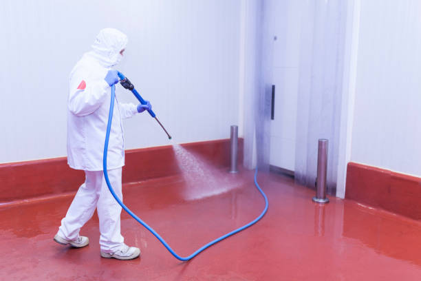 Best Restaurant Pressure Washing  in Felton, DE