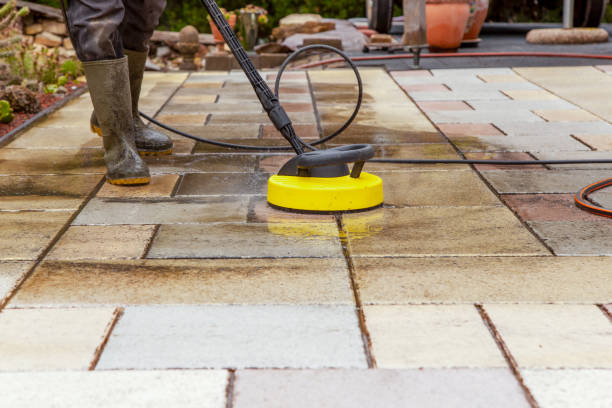 Best Patio and Deck Pressure Washing  in Felton, DE